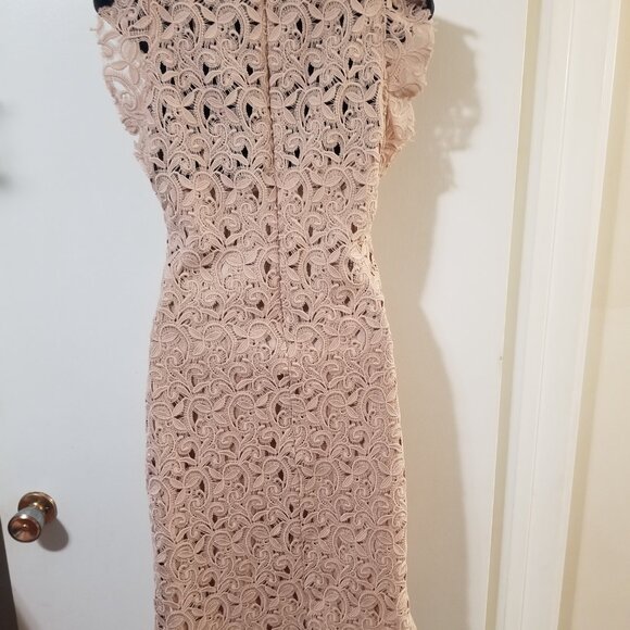 Zara Woman Lace Dress Medium Nude Eyelash Lace Cocktail Dress Sleeveless M - Picture 3 of 6